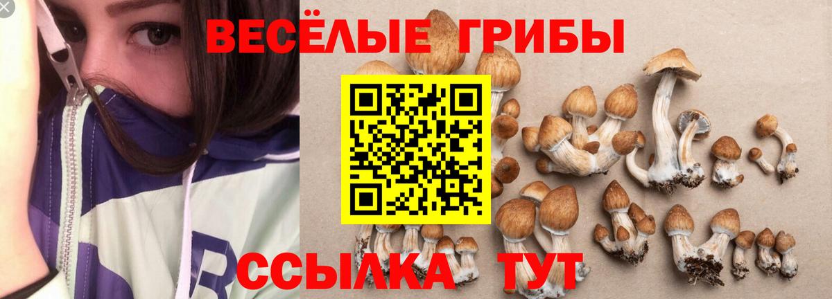 Псилоцибиновые грибы Cubensis  Галлюциногенные грибы мицелий  где купить наркоту  Вход с VPN  Кумертау 